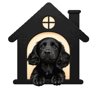 犬小屋から顔を出す黒い犬